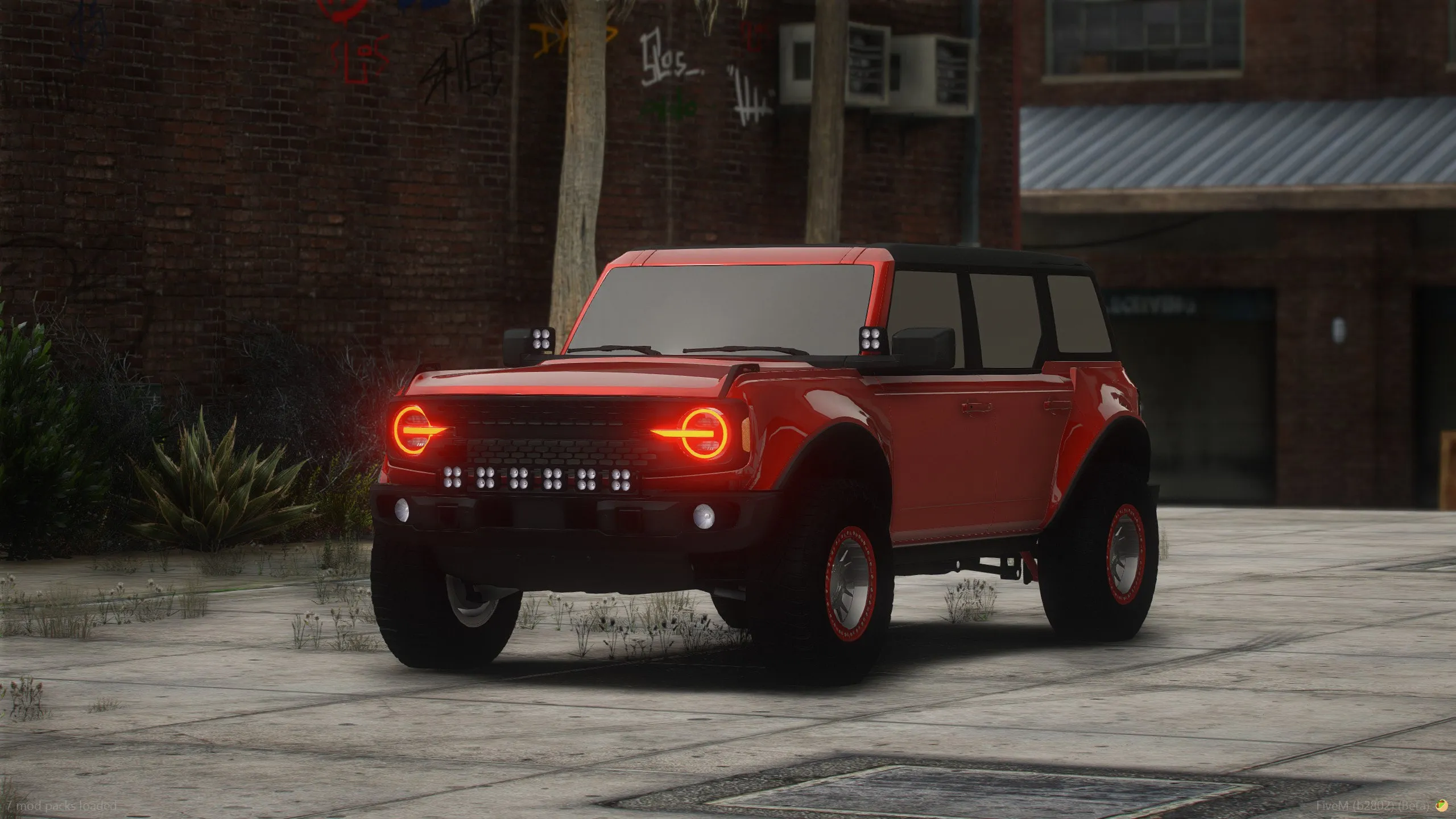 Custom Riata X